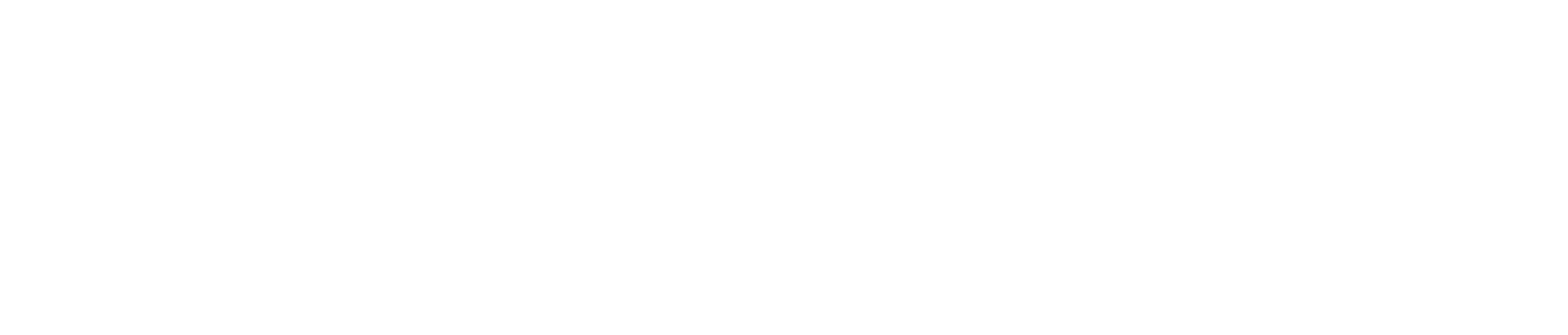 White logo - carsntoy
